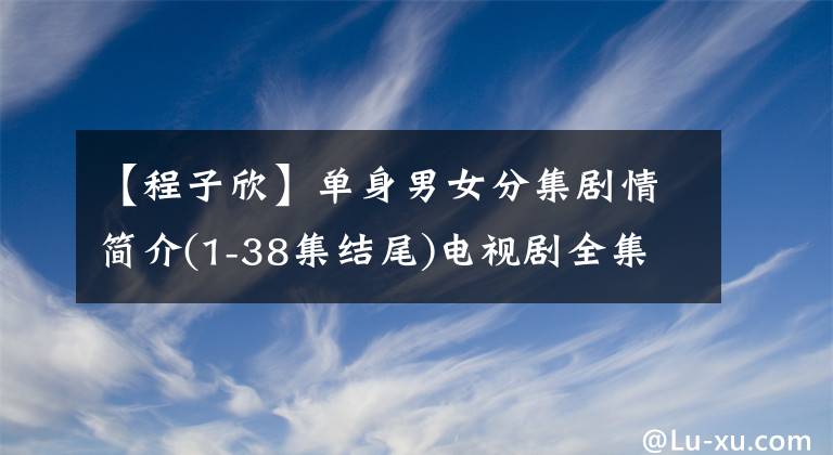 【程子欣】单身男女分集剧情简介(1-38集结尾)电视剧全集