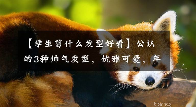 【学生剪什么发型好看】公认的3种帅气发型，优雅可爱，年龄也减少，迪丽热巴、老鼠征是同一风格