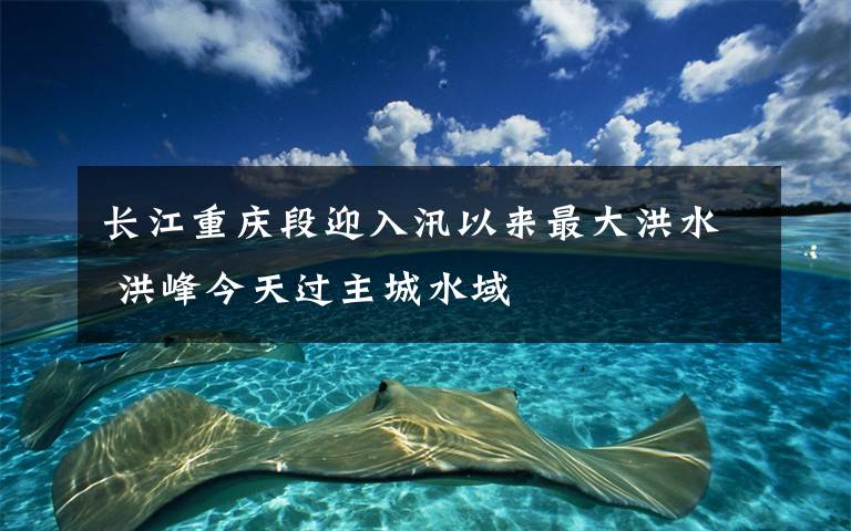 长江重庆段迎入汛以来最大洪水 洪峰今天过主城水域