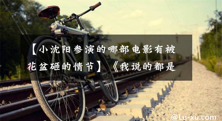【小沈阳参演的哪部电影有被花盆砸的情节】《我说的都是真的》小沈阳被追击，高能反转疑惑重叠。