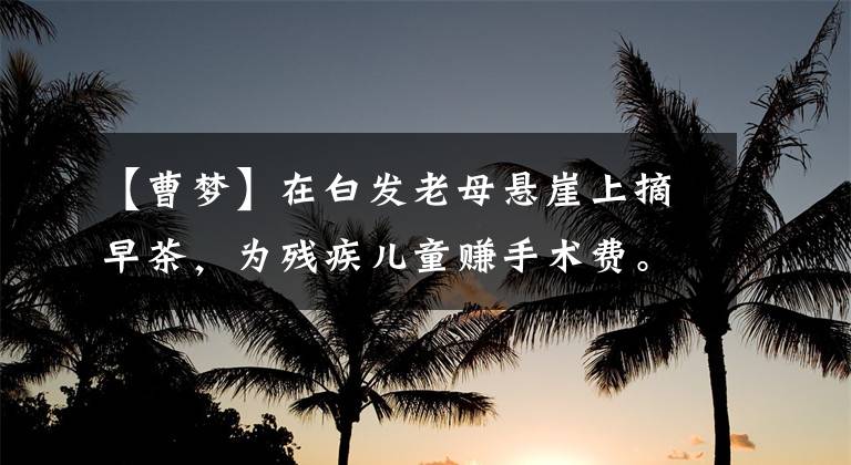 【曹梦】在白发老母悬崖上摘早茶，为残疾儿童赚手术费。我想在死之前看到他站起来。