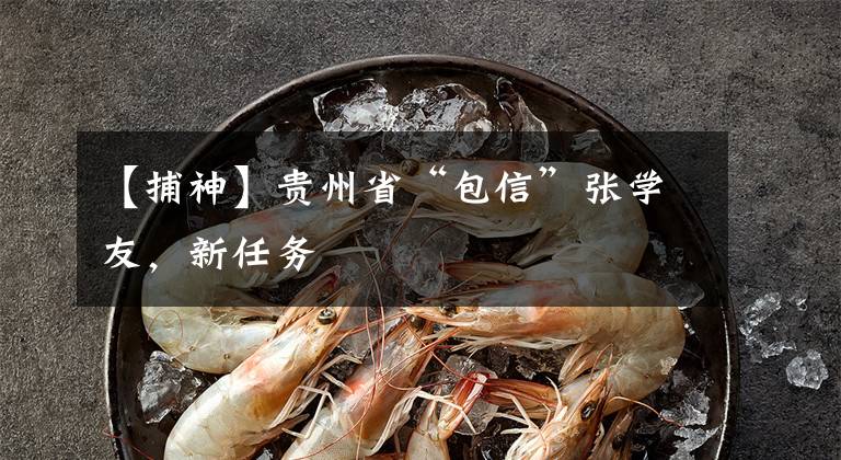 【捕神】贵州省“包信”张学友，新任务