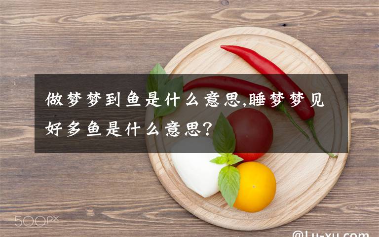 做梦梦到鱼是什么意思,睡梦梦见好多鱼是什么意思？