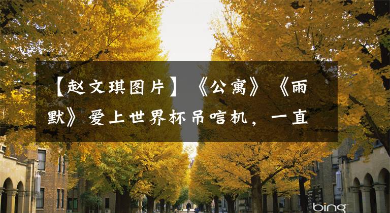 【赵文琪图片】《公寓》《雨默》爱上世界杯吊唁机，一直支撑着德国。
