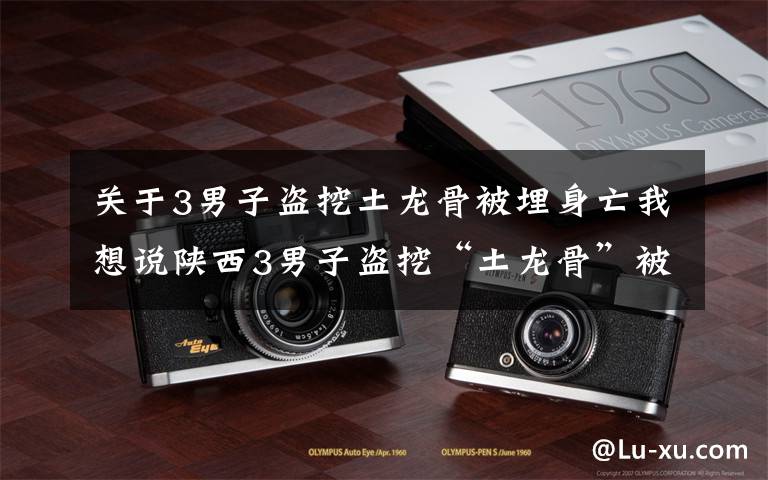 关于3男子盗挖土龙骨被埋身亡我想说陕西3男子盗挖“土龙骨”被埋身亡，之前有人用来卖钱