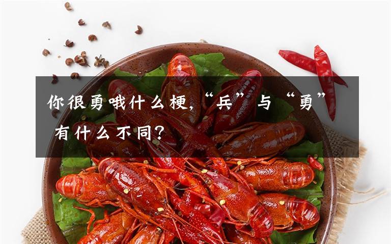 你很勇哦什么梗,“兵”与“勇” 有什么不同？