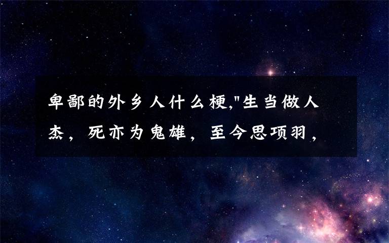 卑鄙的外乡人什么梗,