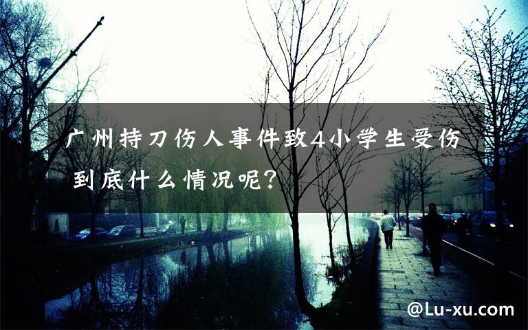 广州持刀伤人事件致4小学生受伤 到底什么情况呢？