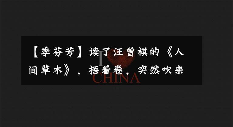 【季芬芳】读了汪曾祺的《人间草木》，捂着卷，突然吹来的风吹来了古老的气息
