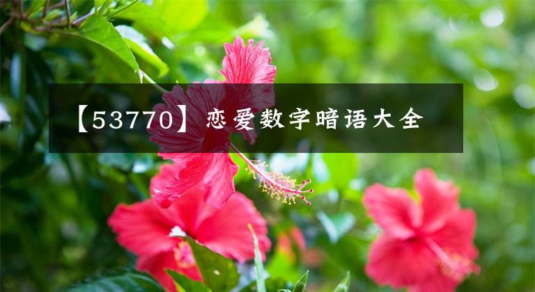 【53770】恋爱数字暗语大全