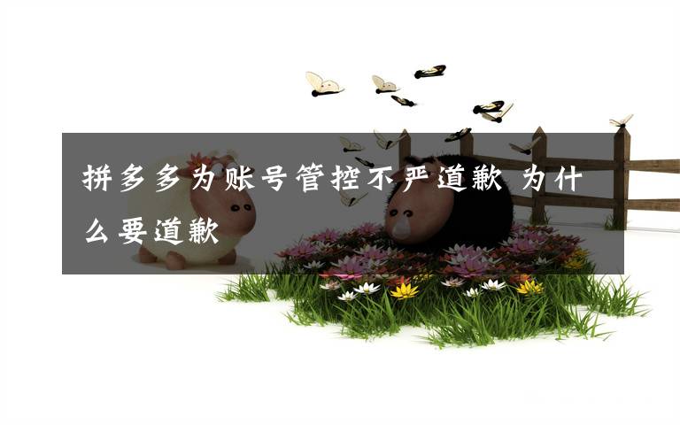 拼多多为账号管控不严道歉 为什么要道歉