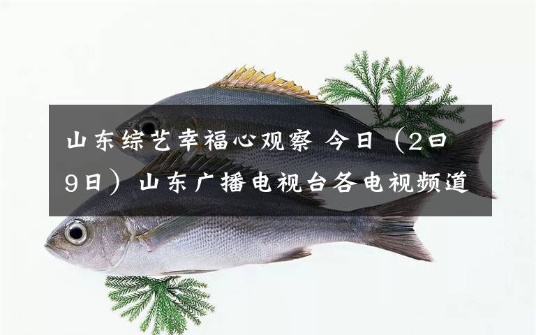 山东综艺幸福心观察 今日（2曰9日）山东广播电视台各电视频道节目预告