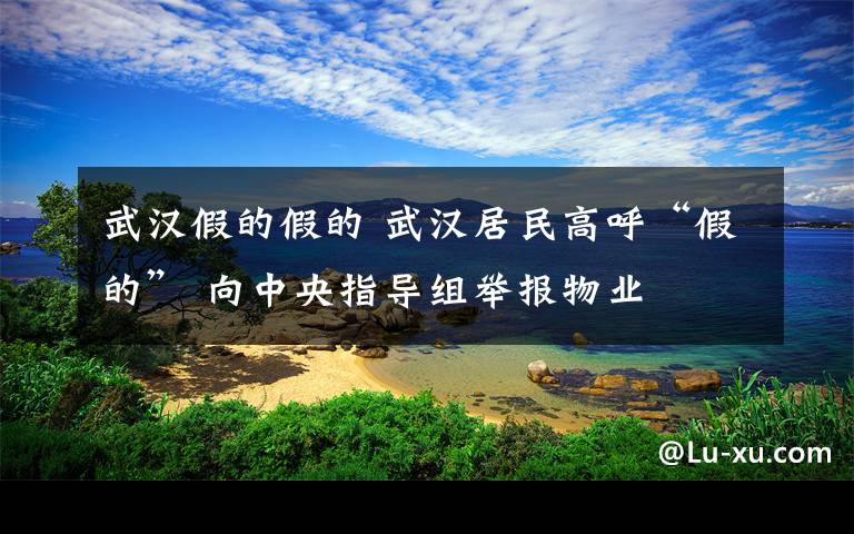 武汉假的假的 武汉居民高呼“假的” 向中央指导组举报物业