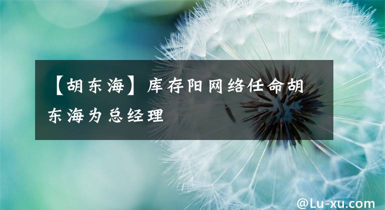 【胡东海】库存阳网络任命胡东海为总经理