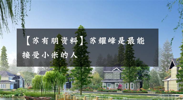 【苏有朋资料】苏耀峰是最能接受小米的人