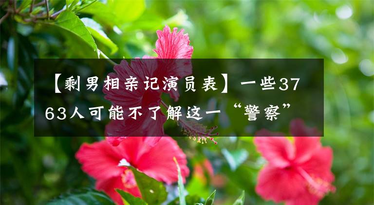 【剩男相亲记演员表】一些3763人可能不了解这一“警察”韩组的背景。韩组、魏森、正野3 3763队的投机有点模糊！本来想法很好