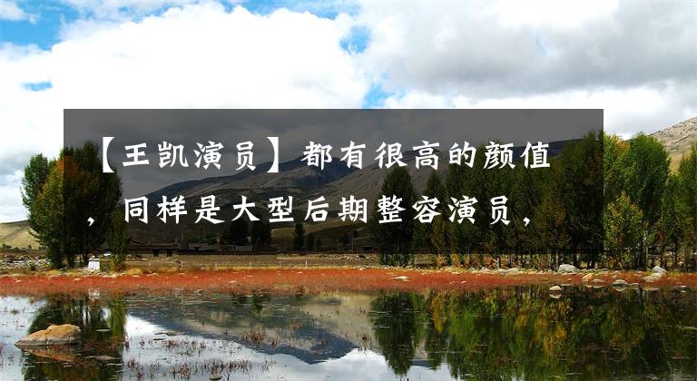 【王凯演员】都有很高的颜值，同样是大型后期整容演员，为什么陈东、王凯之间的差距越来越大？