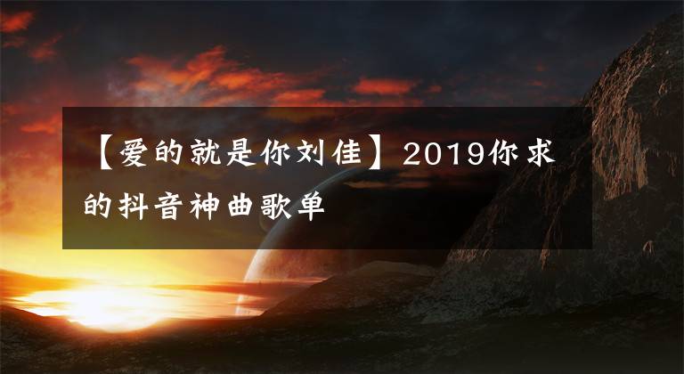 【爱的就是你刘佳】2019你求的抖音神曲歌单