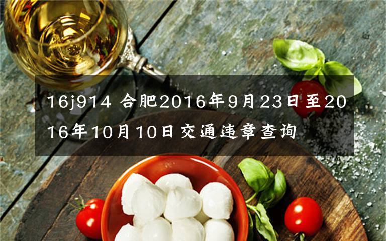 16j914 合肥2016年9月23日至2016年10月10日交通违章查询