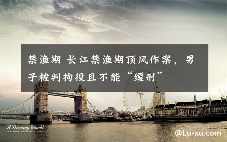 禁渔期 长江禁渔期顶风作案，男子被判拘役且不能“缓刑”