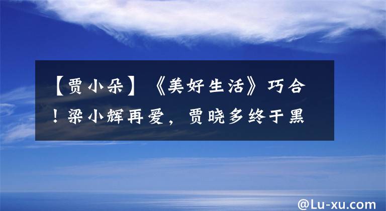 【贾小朵】《美好生活》巧合！梁小辉再爱，贾晓多终于黑了？