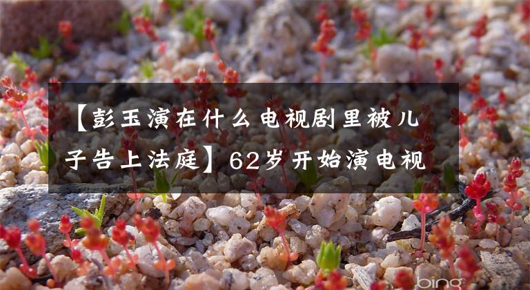 【彭玉演在什么电视剧里被儿子告上法庭】62岁开始演电视剧，67岁和姐夫再婚，86岁的彭玉不寻常