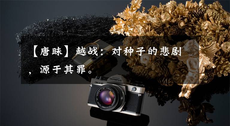 【唐昧】越战：对种子的悲剧，源于其罪。