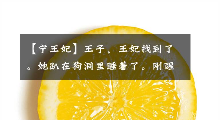 【宁王妃】王子，王妃找到了。她趴在狗洞里睡着了。刚醒。堵住了。我在哭。