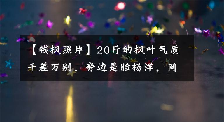 【钱枫照片】20斤的枫叶气质千差万别，旁边是脸杨洋，网友：真是雕刻般的美貌