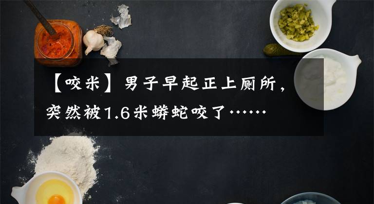 【咬米】男子早起正上厕所，突然被1.6米蟒蛇咬了……