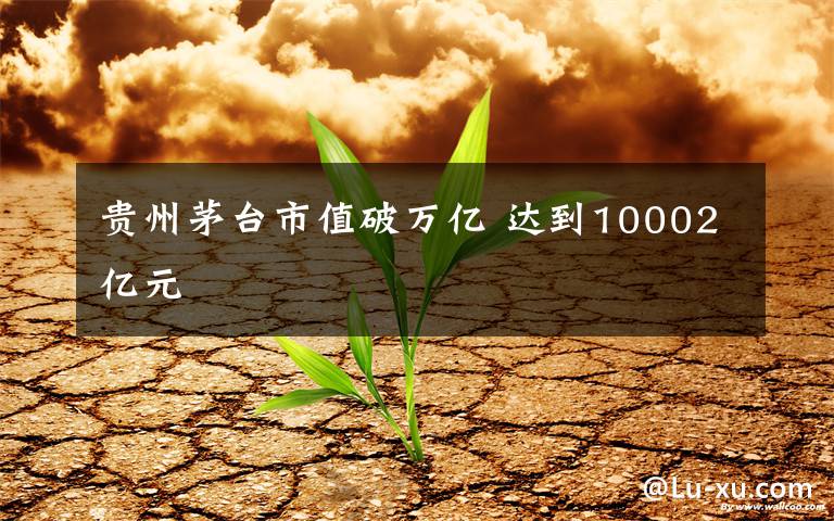 贵州茅台市值破万亿 达到10002亿元