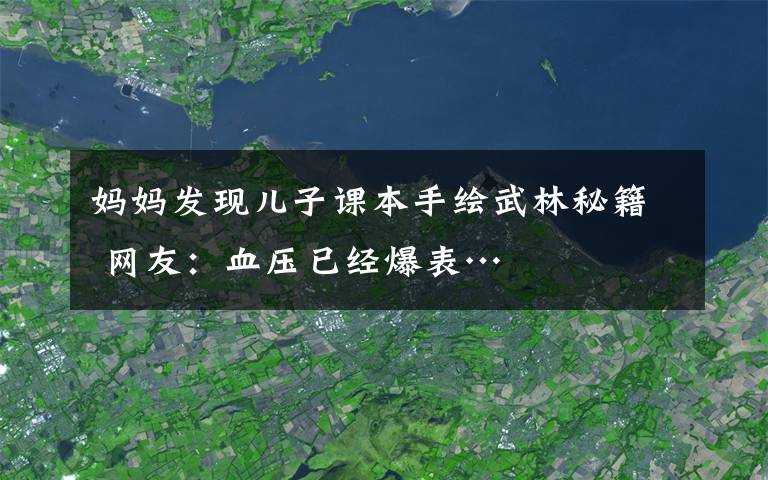 妈妈发现儿子课本手绘武林秘籍 网友：血压已经爆表…