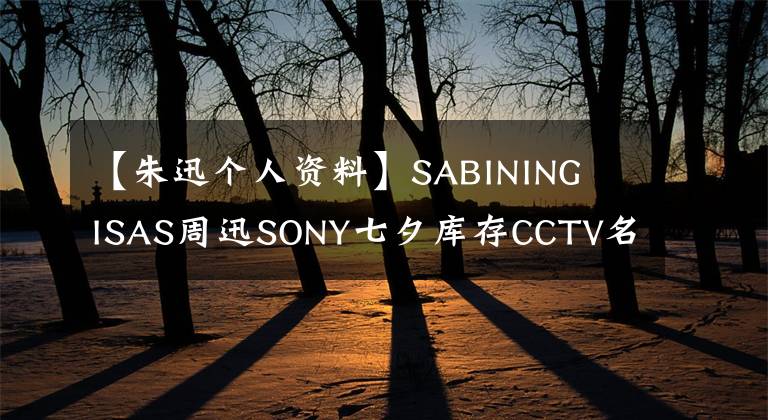 【朱迅个人资料】SABINING  ISAS周迅SONY七夕库存CCTV名言的甜蜜爱情。