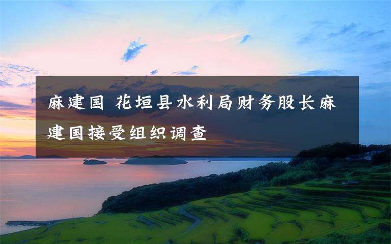 麻建国 花垣县水利局财务股长麻建国接受组织调查