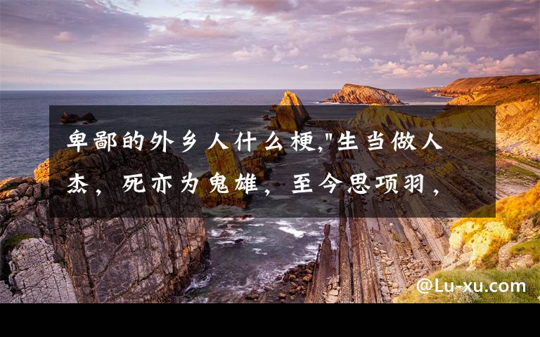 卑鄙的外乡人什么梗,
