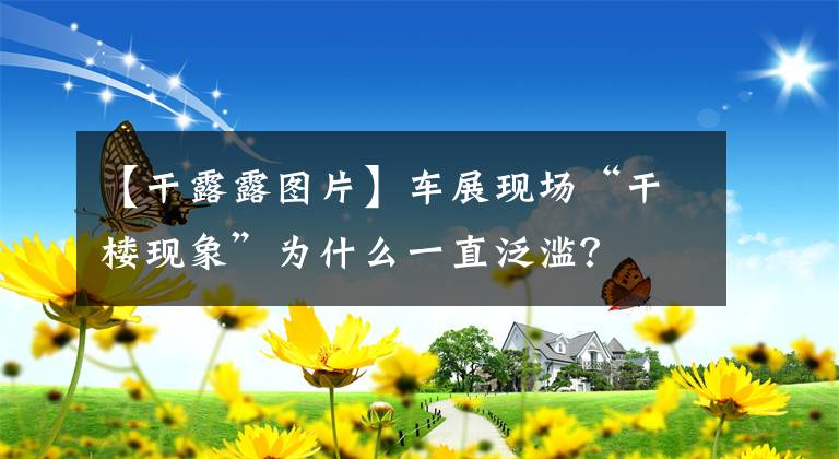 【干露露图片】车展现场“干楼现象”为什么一直泛滥？