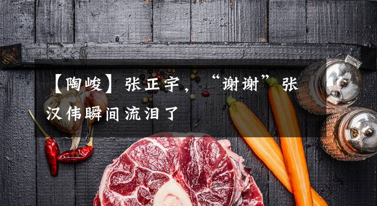 【陶峻】张正宇，“谢谢”张汉伟瞬间流泪了