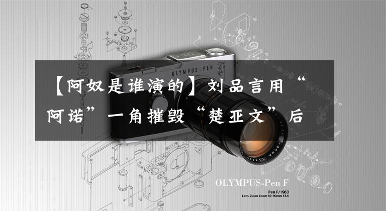 【阿奴是谁演的】刘品言用“阿诺”一角摧毁“楚亚文”后，减肥成为减肥女神！