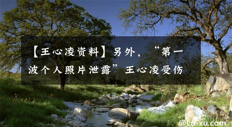 【王心凌资料】另外，“第一波个人照片泄露”王心凌受伤，两个月都不敢出门。