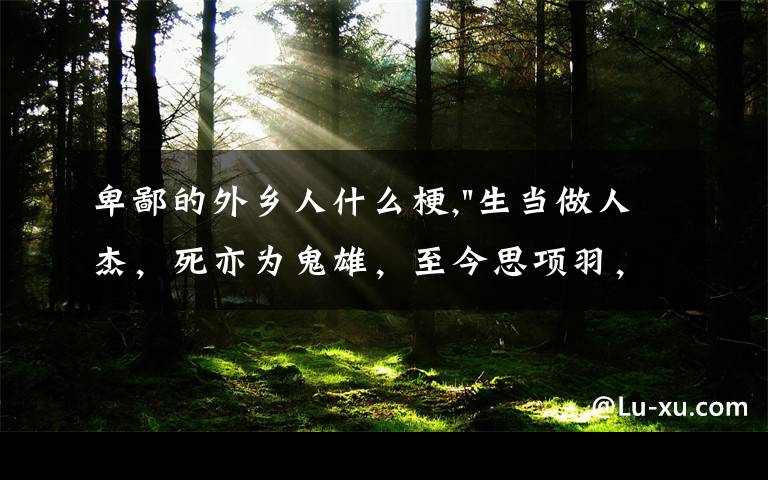 卑鄙的外乡人什么梗,