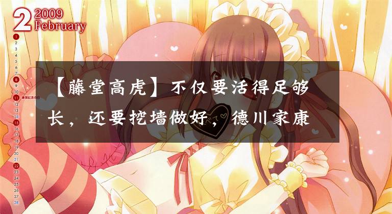 【藤堂高虎】不仅要活得足够长，还要挖墙做好，德川家康到最后都可以依靠这两种手段