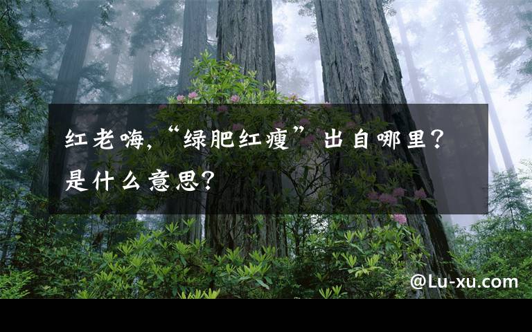 红老嗨,“绿肥红瘦”出自哪里？是什么意思？