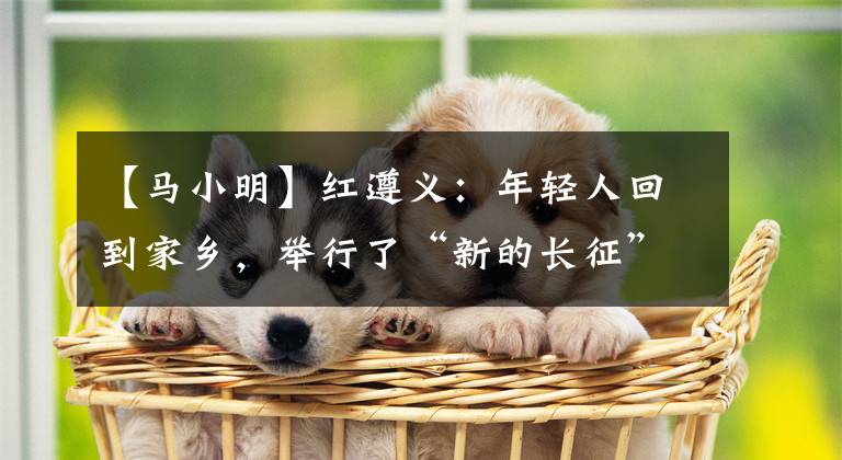 【马小明】红遵义：年轻人回到家乡，举行了“新的长征”。