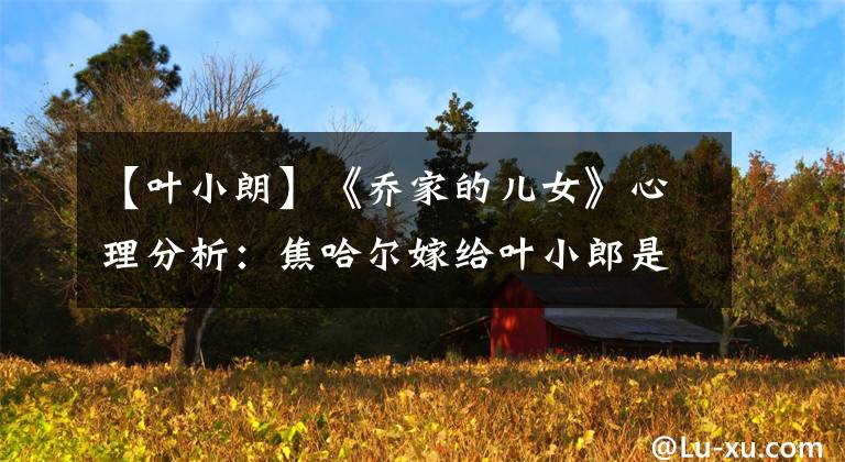 【叶小朗】《乔家的儿女》心理分析：焦哈尔嫁给叶小郎是自我救赎的过程。