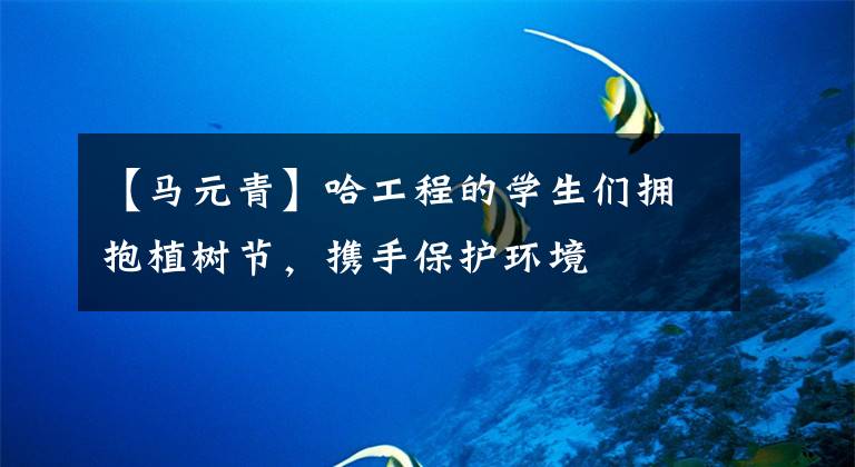 【马元青】哈工程的学生们拥抱植树节，携手保护环境