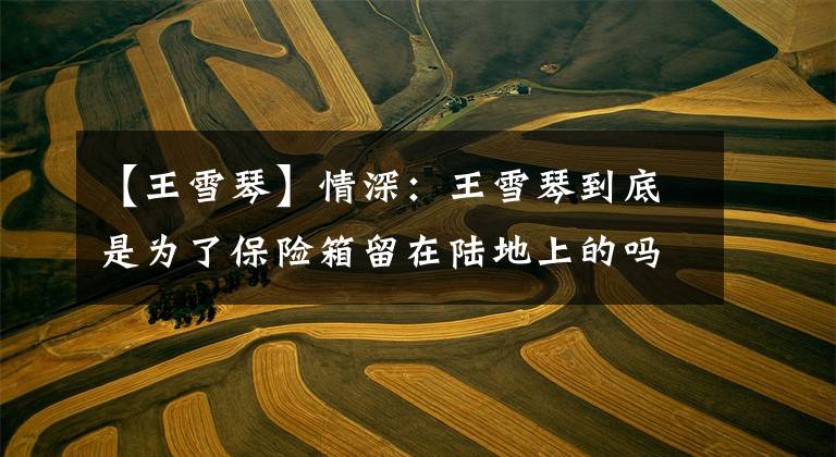 【王雪琴】情深：王雪琴到底是为了保险箱留在陆地上的吗？想起三个故事