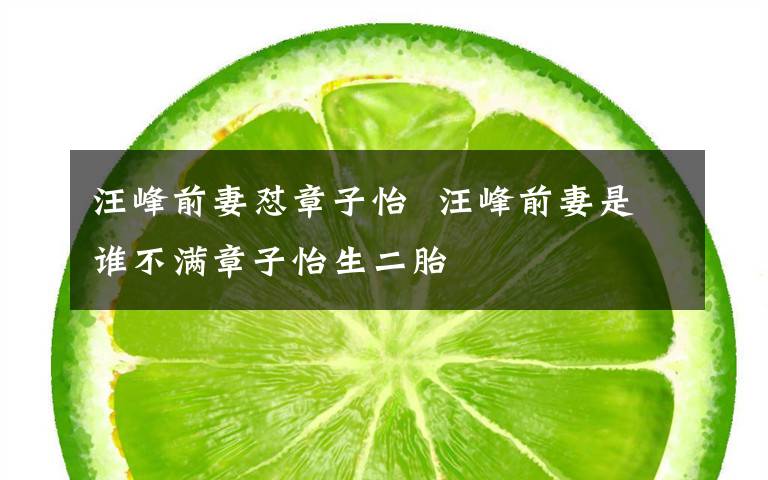 汪峰前妻怼章子怡  汪峰前妻是谁不满章子怡生二胎