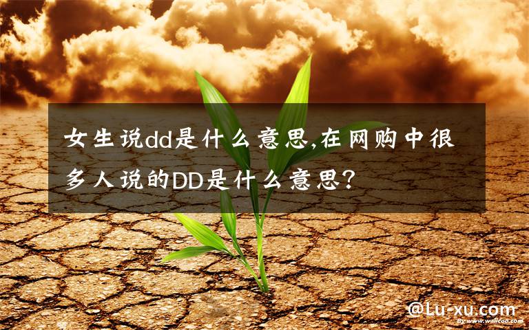 女生说dd是什么意思,在网购中很多人说的DD是什么意思？