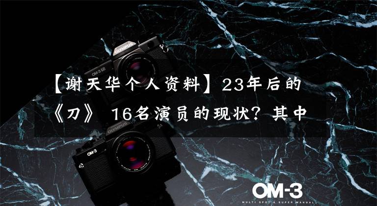 【谢天华个人资料】23年后的《刀》 16名演员的现状？其中4人曾延期到《古惑仔》人