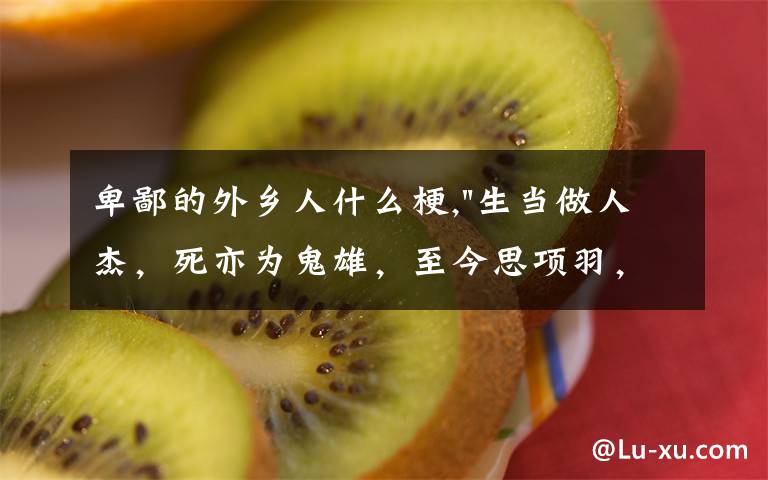 卑鄙的外乡人什么梗,